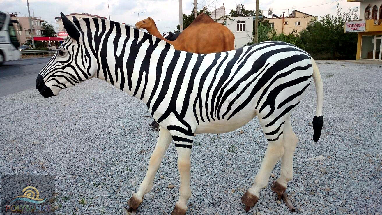 ZEBRA HEYKEL